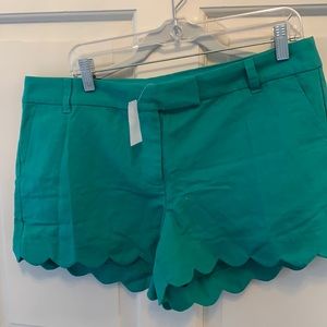 Jcrew  shorts